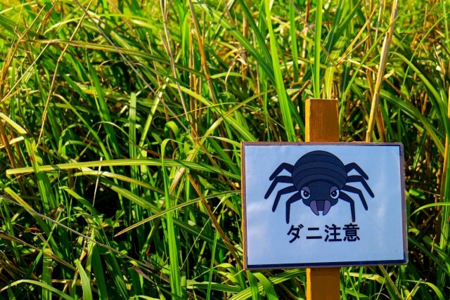 ダニ どこから来る